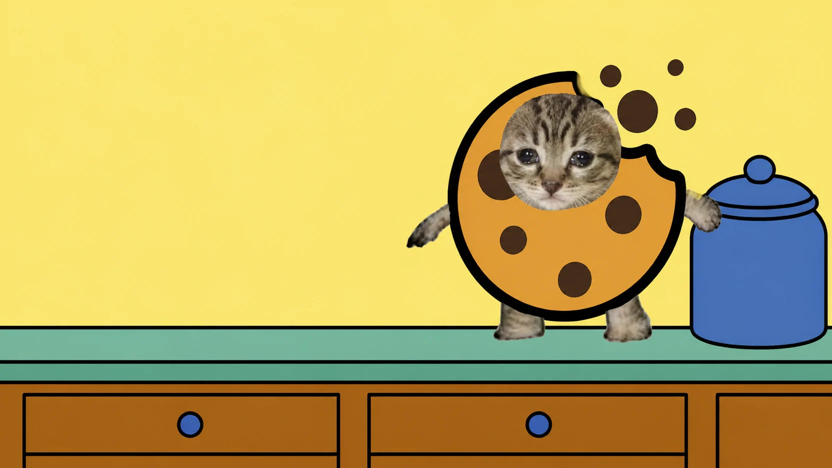 Cookie cat on a kitchen counter